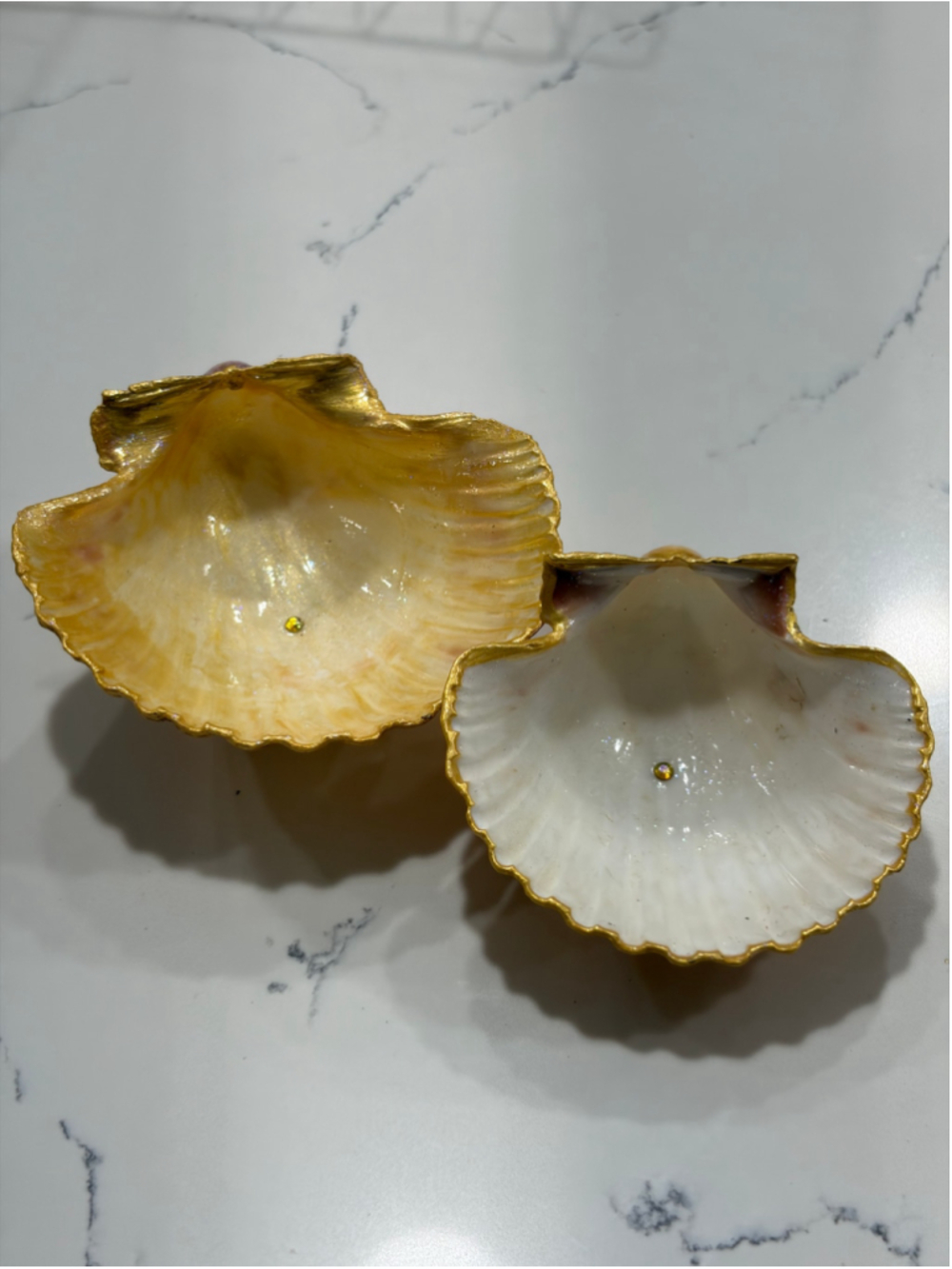 Hand Painted Seashell Ring Dishes Set of 2 Gold Trim Coastal Trinket Trays